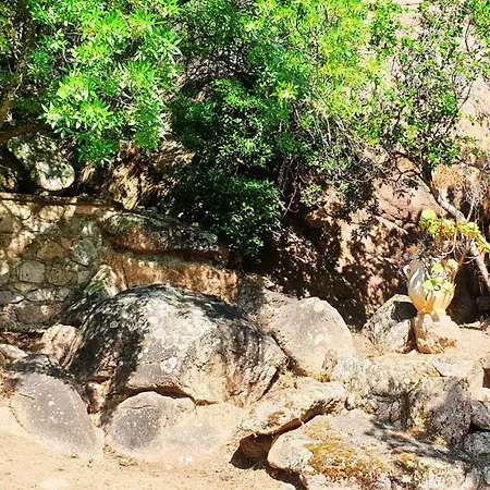Minavita *