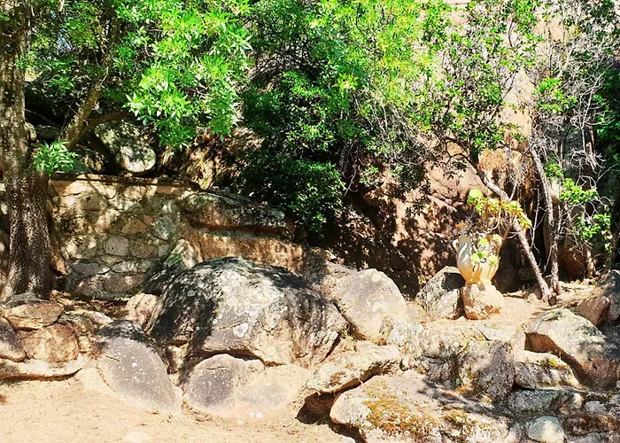 Minavita Vue A Pied Ruppione *